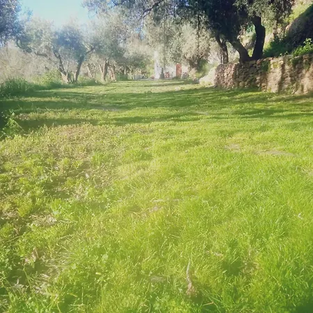 Rural Al Andalus Holiday home *
