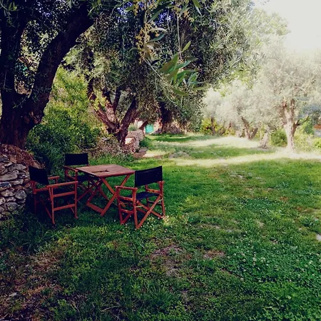 Holiday home Rural Al Andalus Orgiva